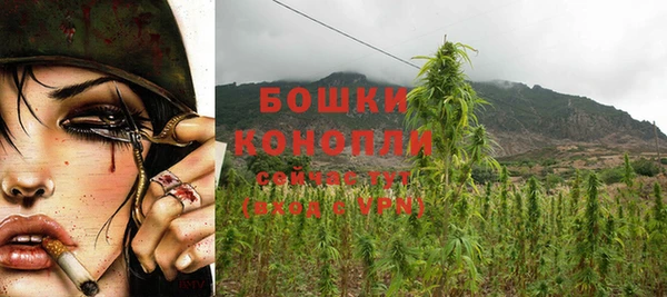 мяу мяу кристалл Верея