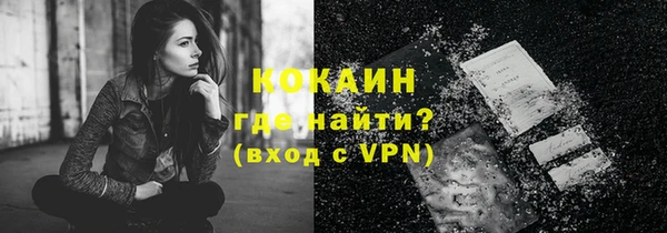 стафф Новозыбков