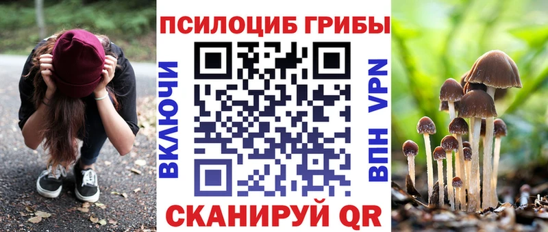 Галлюциногенные грибы Psilocybe  Георгиевск 