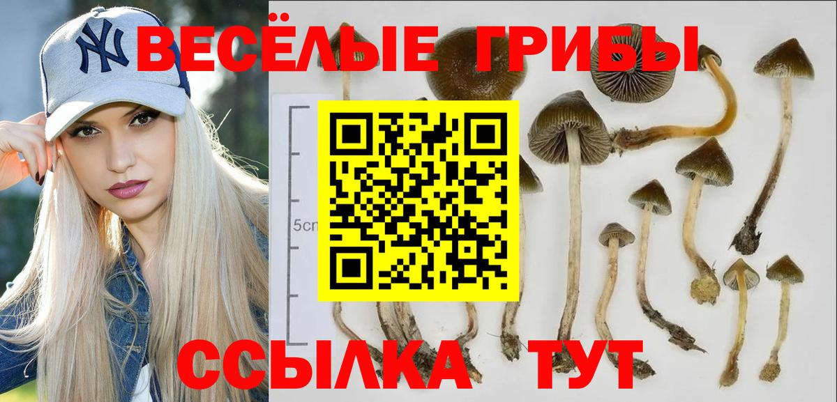 ТГК  LSD-25  Меф МЯУ МЯУ кристаллы  Вход с VPN  Каннабис  Гашиш  Георгиевск  НБОМе  Метамфетамин 