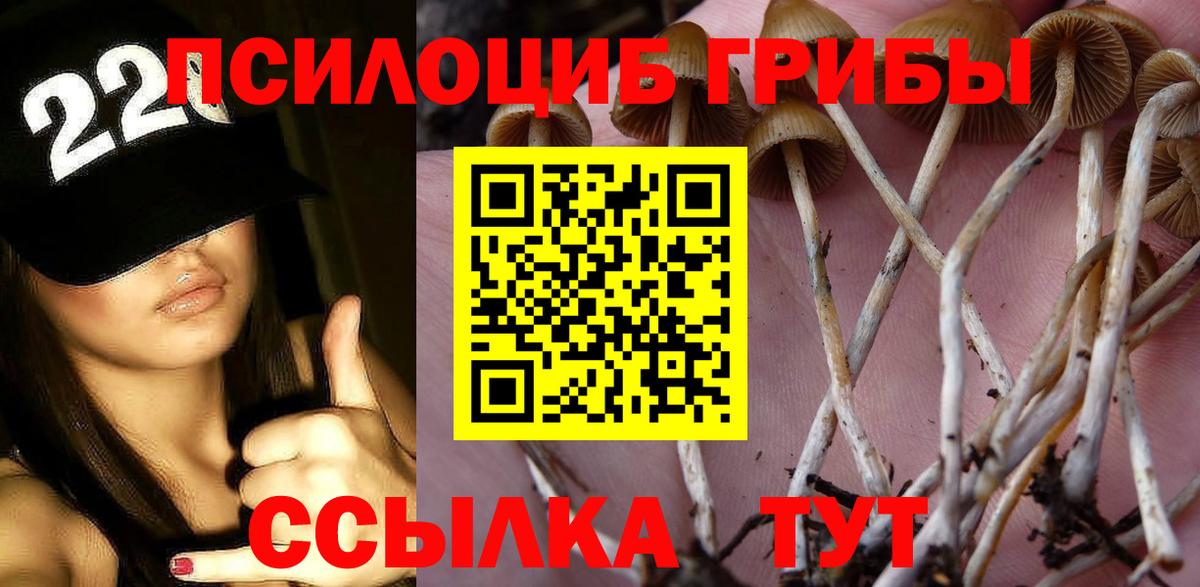 купить наркотик  Вход с VPN  Георгиевск  Галлюциногенные грибы мухоморы 